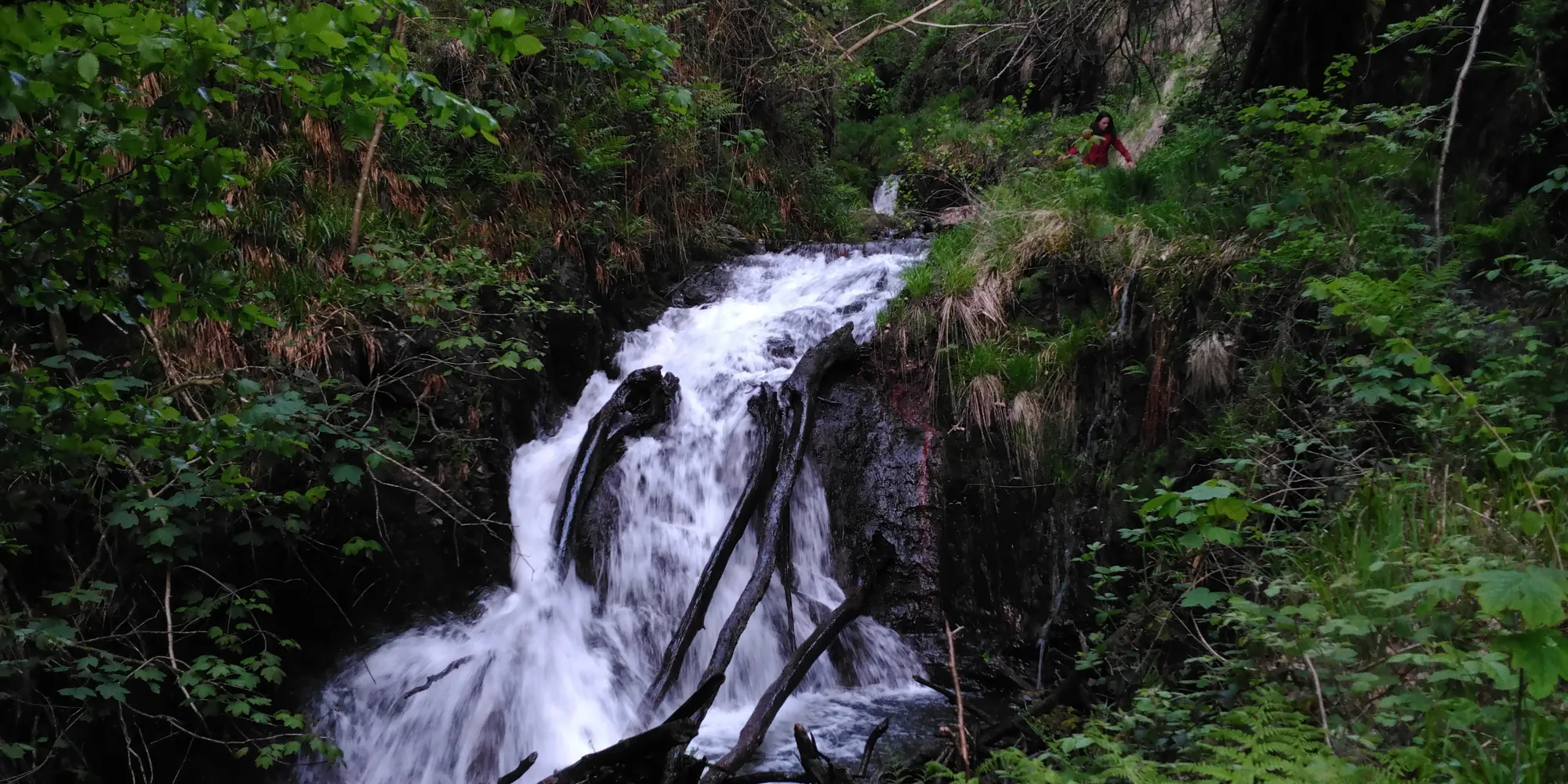 Cascade du ru de la Pile à Anchamps, 2023