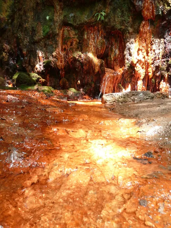 Source ferrugineuse face à Laifour