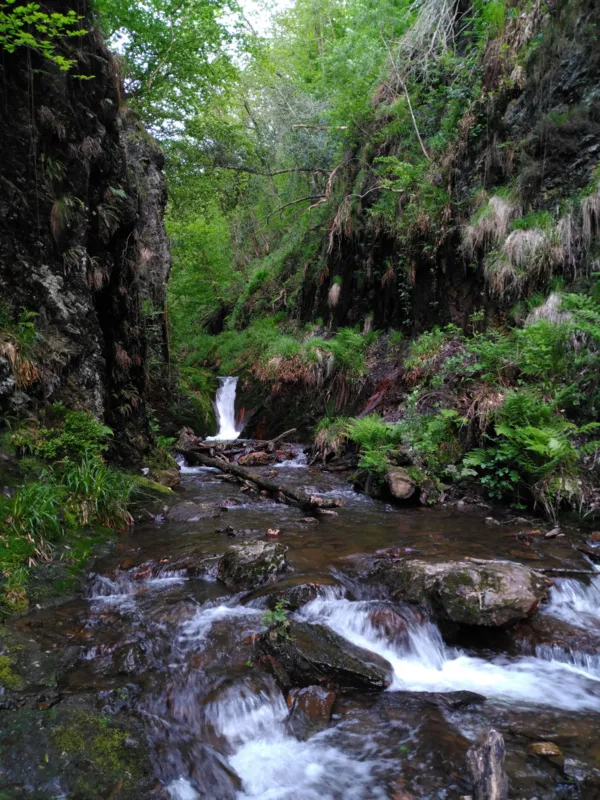 Cascade du ru de la Pile à Anchamps, 2023